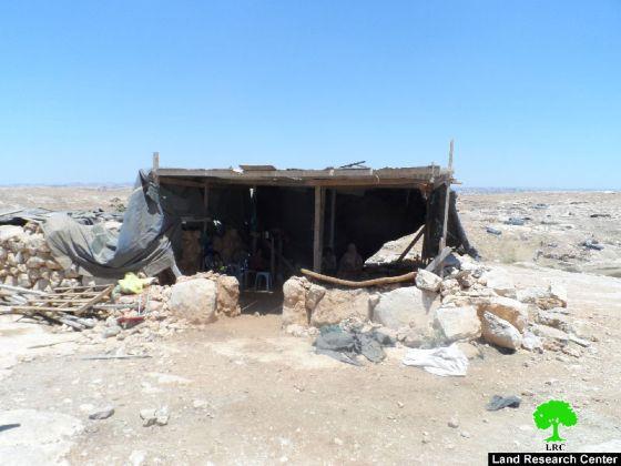 مستعمر يطلق كلبه باتجاه طفل ويعيث خراباً في أراضي المواطنين جنوب يطا