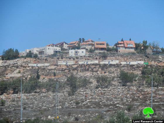 Damaging 34 olive trees in Tarmisiya/ Ramallah