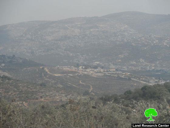 Fanatic colonists use Palestinian agricultural lands as pastures in Salfit