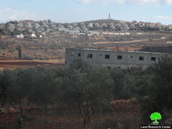 منع عشرات المزارعين من جني ثمار الزيتون في قرية قريوت / محافظة نابلس