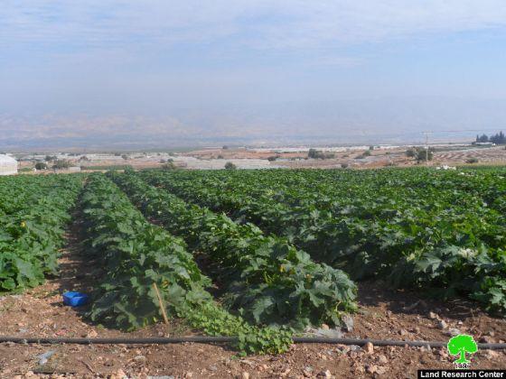 إخطار 9 منشآت سكنية وشبكة كهرباء بوقف البناء في قرية بردلة