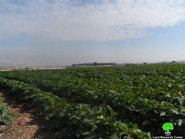 Notifying 9 residential structures and a electricity network with stop work