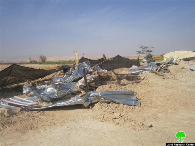 Demolishing a number of residential and agricultural structures in Jericho