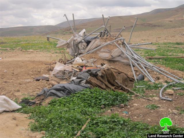 Demolishing three barns for sheep husbandry in Jericho