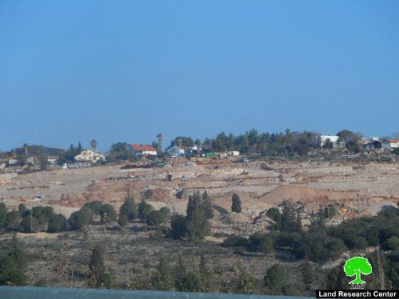 مستعمرو “زوفين” يتلفون 40 شجرة زيتون ويردمون بئراً في قرية جيوس /محافظة قلقيلية