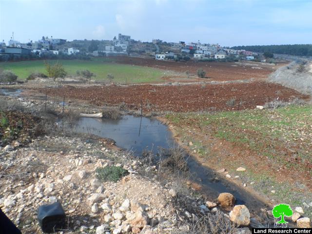 Colony of Meirav pumps sewage into Jalbun lands