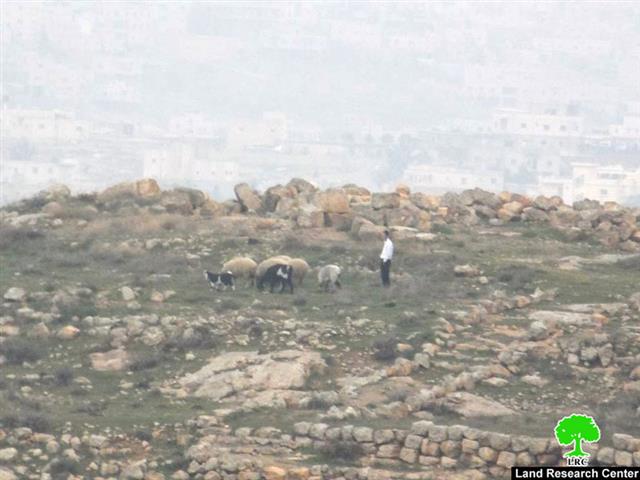 مستعمرون يهدمون خيمة ويعتدون على المزارعين في خربة سوسيا