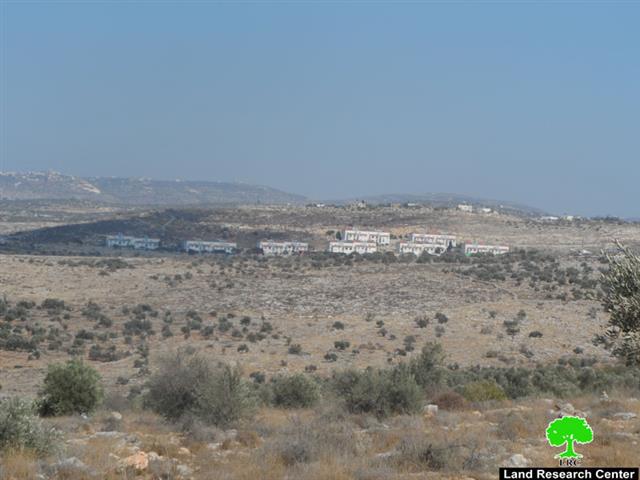 مستعمرو ” آفني حيفس” يتلفون 26 غرسة زيتون في قرية شوفة