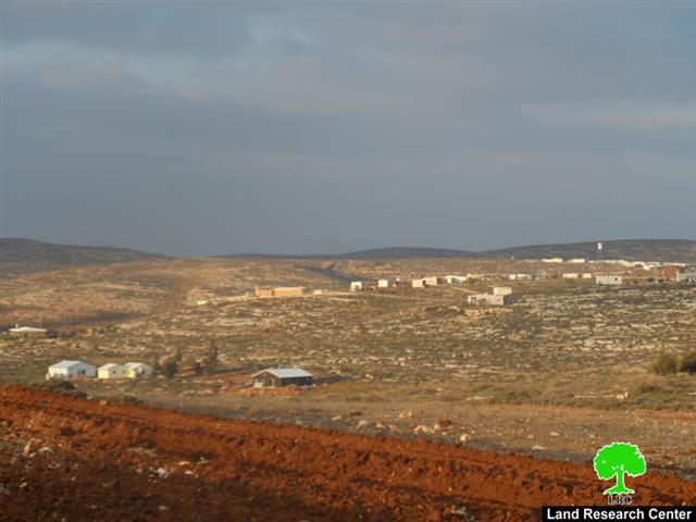 Adi Ad colonists sabotage 560 olive seedlings