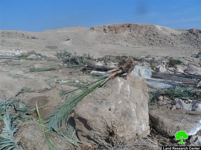 جيش الاحتلال الإسرائيلي يقطع 120 شجرة نخيل في قرية الزبيدات