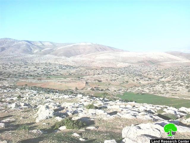إخطار مواطنٍ من خربة ” يرزا ”  باقتلاع 1000 غرسة زيتون من أرضه
