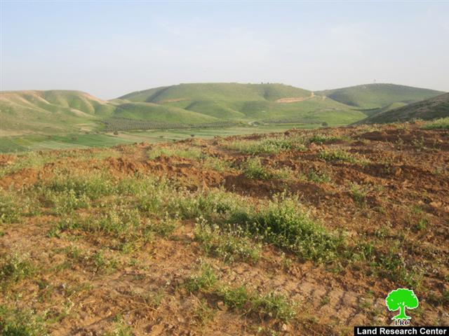 المزروعات الحقلية في الأغوار الشمالية  بين مطرقة انحباس الأمطار وسندان التدريبات العسكرية الإسرائيلية