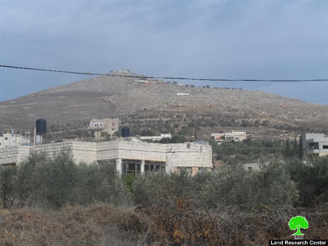 Damaging 34 olive trees in Ainabos