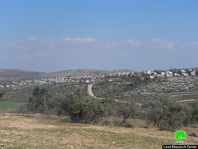 Targeting 800 dunums of Qaryut lands  A detailed master plan to change the usage of land