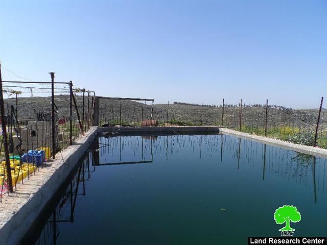 The Israeli occupation threatens to demolish a pool in Hebron