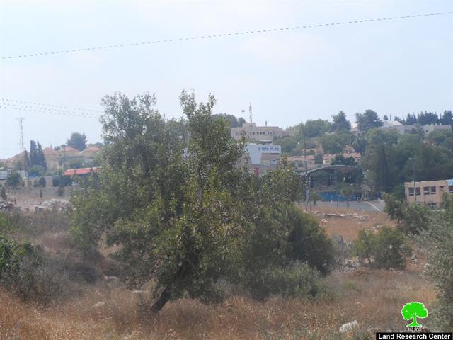 Advertisement about depositing a master plan for Maale Shomron