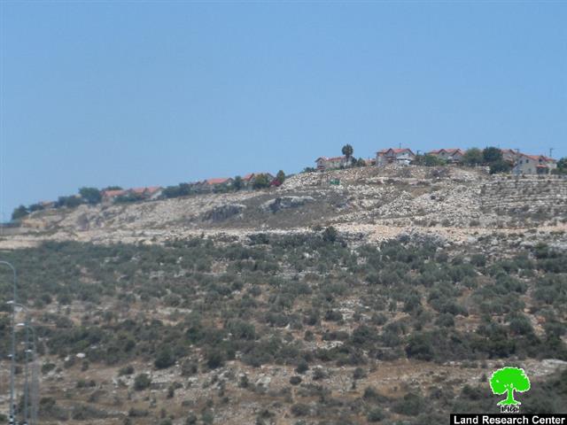 Plans to Expand Bruchin Colony