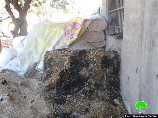 إحراق مزرعة للأغنام وخط شعارات تحريضية من قبل ” مستعمرو دفع الثمن” في بلدة عقربا