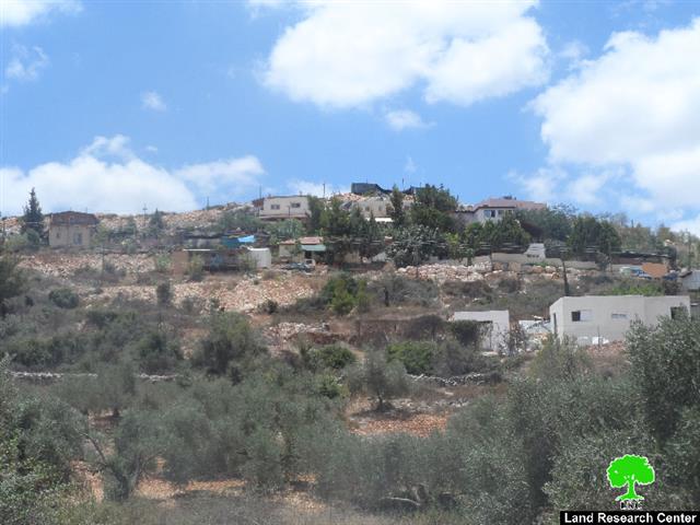 Trees cut off by “Maale Israel” colonists in Bani Hassan village