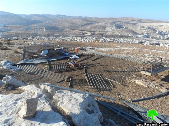 The Israeli occupation displaces 6 Bedouin families after demolishing their residential and agricultural structures