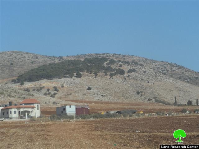 An eviction order on tens of agricultural dunums in Tubas