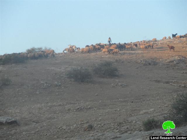 The Israeli occupation stops a reclamation on pools and water cisterns