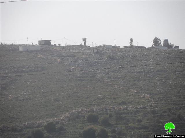 Damaging 68 fruitful olive trees in Yasuf
