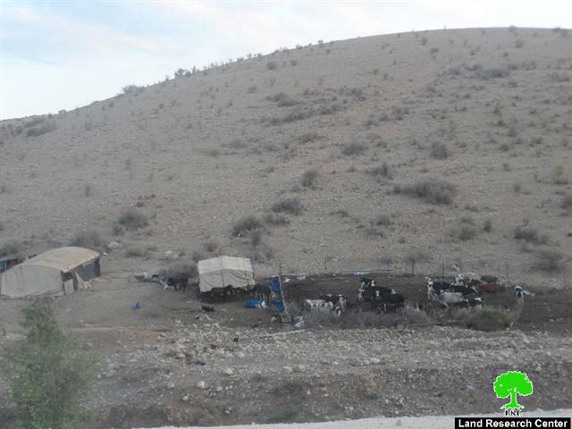 The Israeli occupation demolishes a number of agricultural and residential structures in Qalqiliya