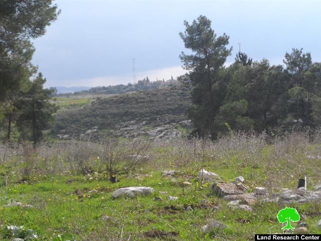The Israeli occupation notifies a park with stop-work in Tulkarm