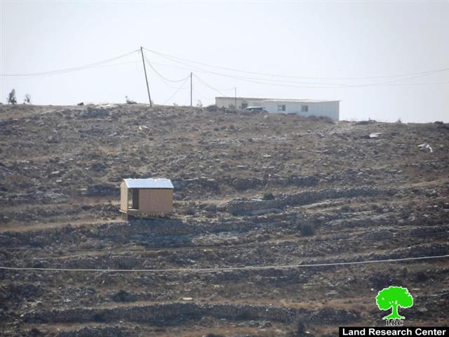 Sixty olive trees sabotaged in Hebron