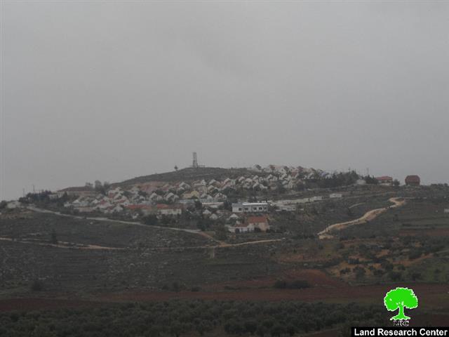 Advertisement about 221 dunums land grab from Nablus