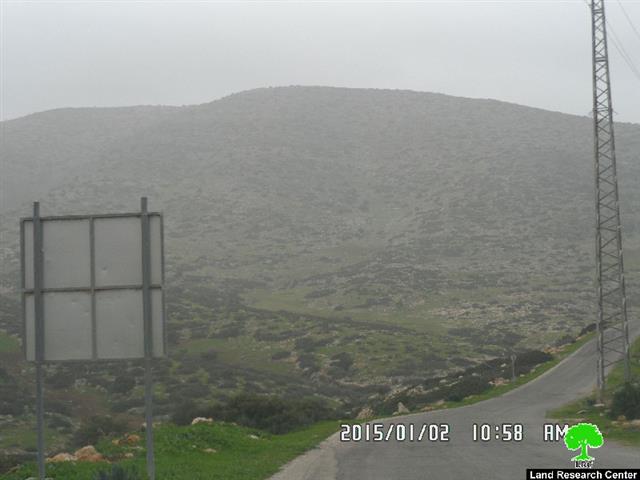 Demolishing a agricultural fence and uprooting seedlings in Yarza