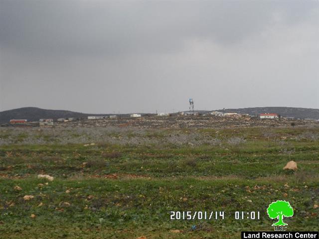 Adi Ad colonists sabotage 5000 olive saplings near Ramallah