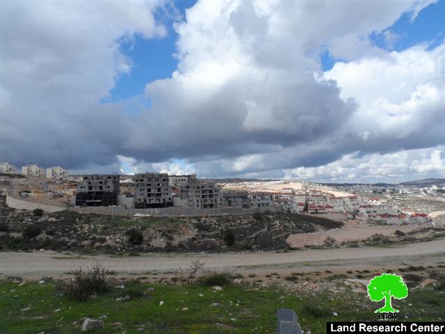 Ravaging 30 dunums from the Bethlehem village of Wad Rahhal