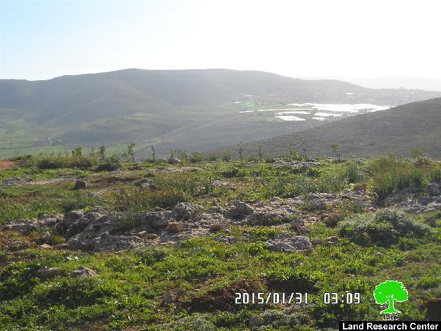 إخطارات عسكرية باقتلاع عشرات الغراس في خربة عينون / محافظة طوباس