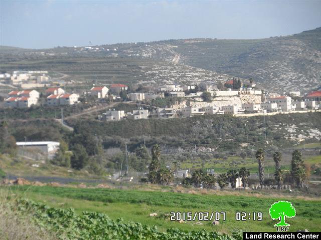 Killing 8 aging trees in Kfar Qadum through injecting them with toxic chemicals
