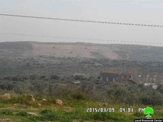 Killing 56 olive trees in the area of Dhahr Soboh