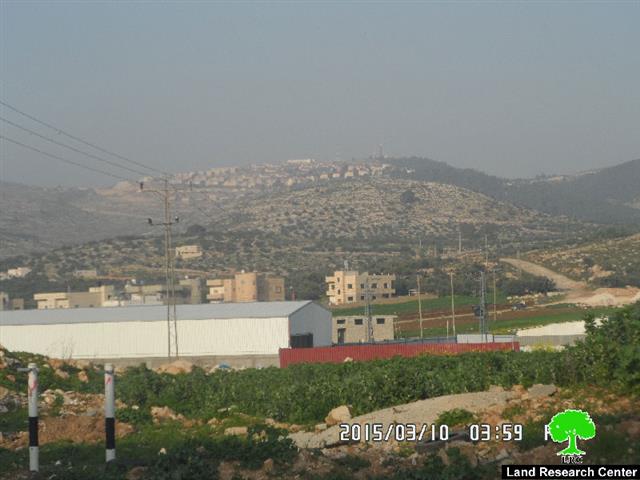 Under the pretext of preserving nature: the Israeli occupation ravages 300 olive saplings in Nablus