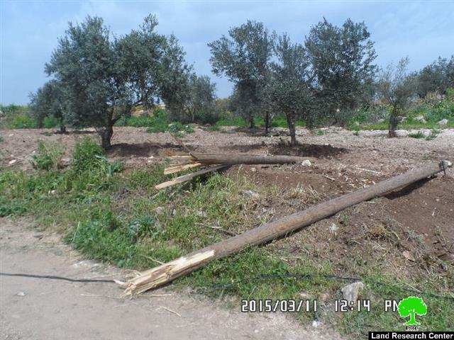 الاحتلال يدمر 8 بركسات سكنية وزراعية وشبكة كهرباء في قرية زبدة / محافظة جنين