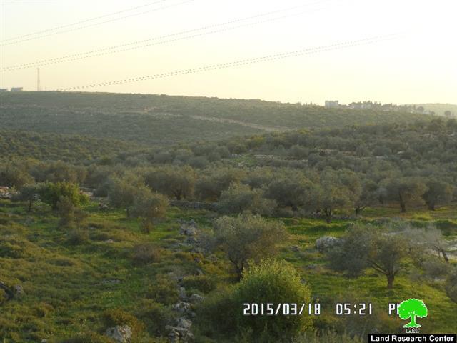 إخطارات بإخلاء أراض زراعية في منطقة ” واد قانا” / محافظة سلفيت