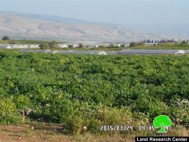 The Israeli occupation confiscates 504 meters of water pipelines from Tubas