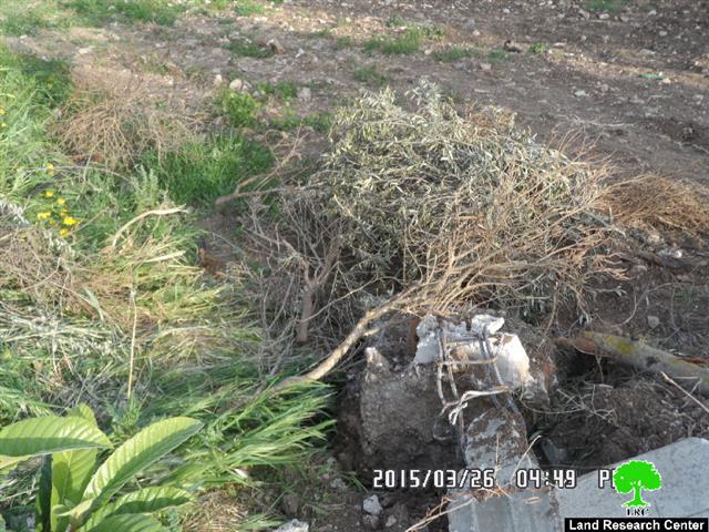 Dumping an artisan cistern and demolishing retaining walls in Tanak village