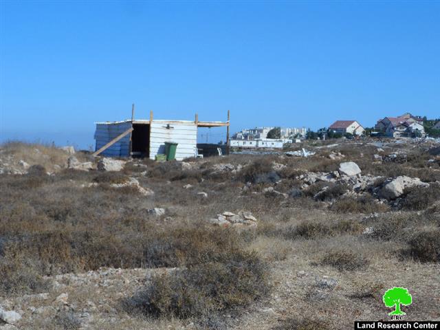 Colonists’ attack on an agricultural land in the Hebron village of Halhul
