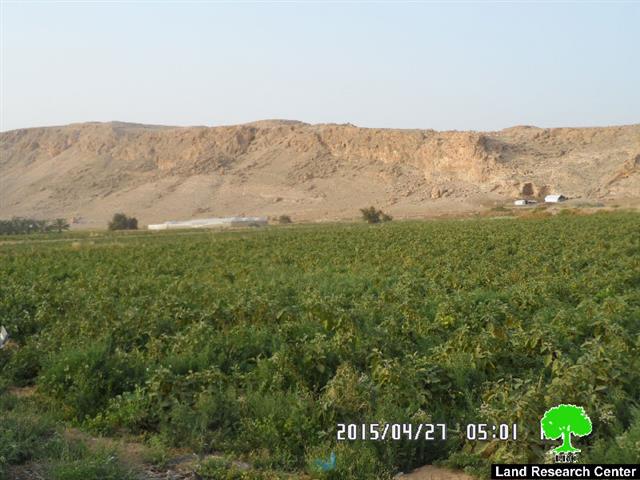 الاحتلال الإسرائيلي يهدم أربعة  مساكن في قرية الجفتلك / محافظة أريحا