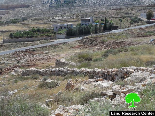 Ravaging agricultural lands and sabotaging trees in the Hebron area of Suba