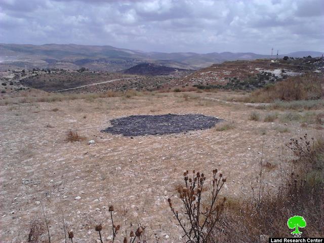 Enav colonists torch wheat crops in the Tulkarm village of Kfar Al-Labad
