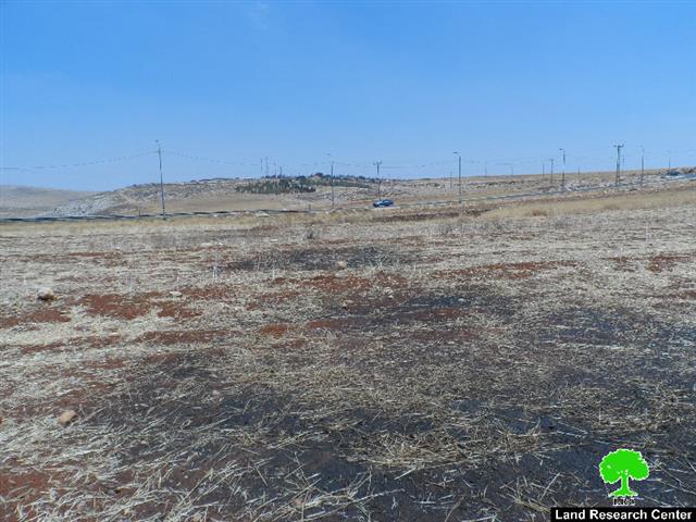 إحراق ما لا يقل عن 15 طن من محصول القمح على يد مستعمرين متطرفين في قرية الطيبة