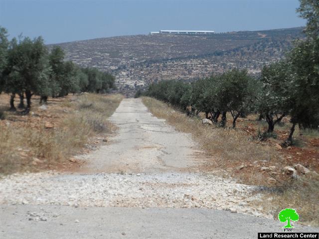 Itamar colonists ban surveying works in Aorta-Yanun road