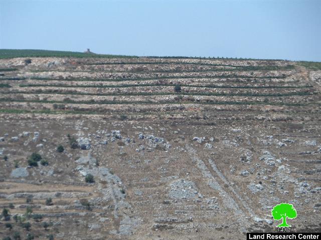 Lands takeover for the favor of Brach colony’s expansion