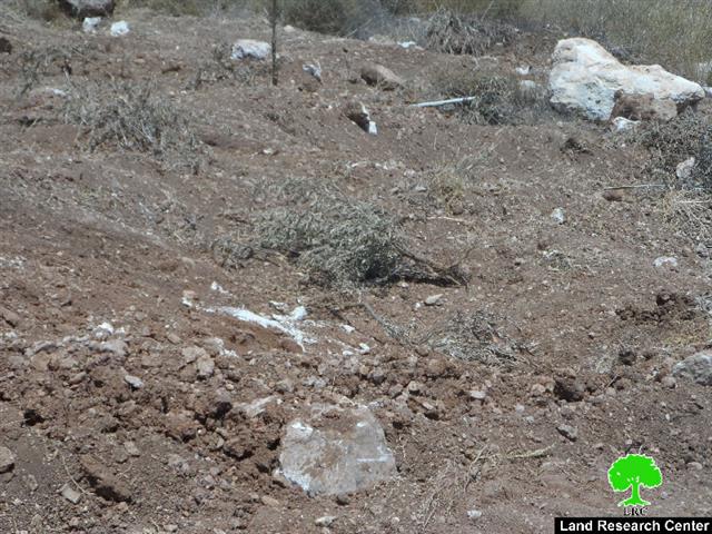 تجريف أراضي واقتلاع أشجار زيتون ومصادرتها في بلدة بيت أولا / محافظة الخليل